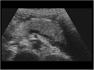 knowyourliver.net